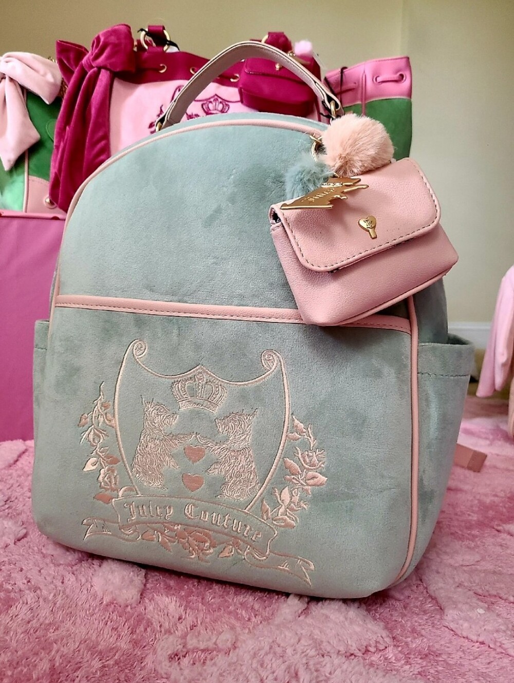 Juicy Couture Backpack 💗